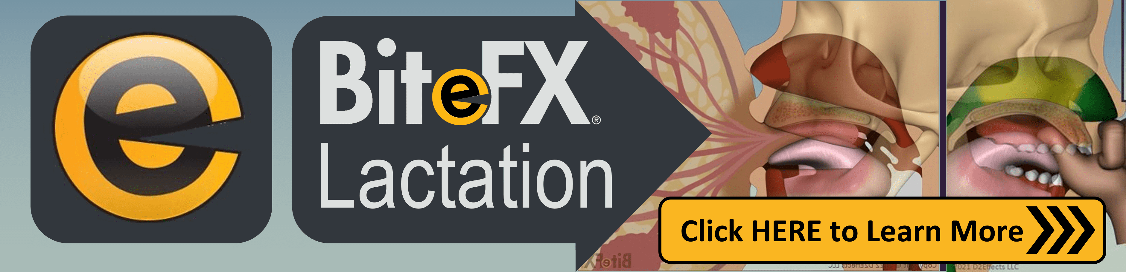 Bitefx Lactation - Click HERE to Learn More
