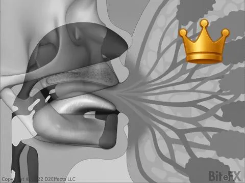 Healthy Breastfeeding