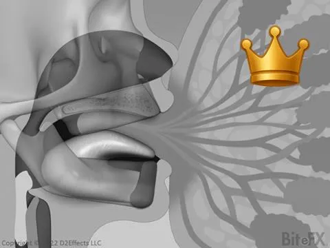 Post-Frenctmy Breastfeeding