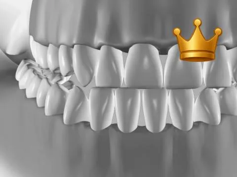 Canine Guide Cross+GrpF