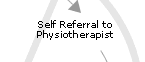 self referral to physiotherapist